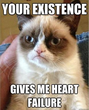 Grumpy Cat (29)