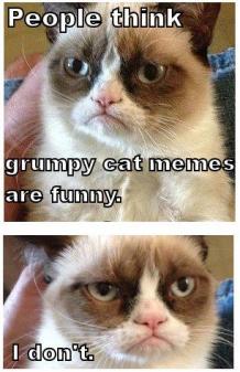 Grumpy Cat (3)