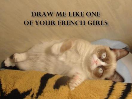 Grumpy Cat (30)