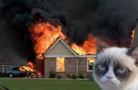 Grumpy Cat (34)