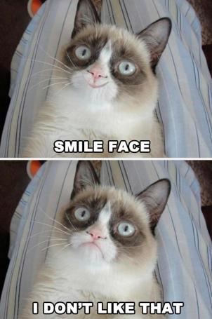 Grumpy Cat (4)