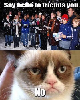 Grumpy Cat (6)