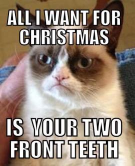 Grumpy Cat (7)