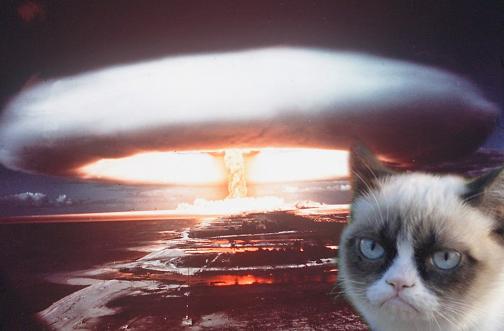 Grumpy Cat (8)