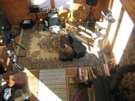 Guitar cases are for kitties to lay on....