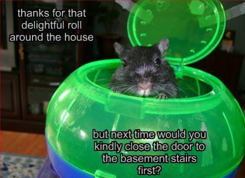 h76D3D86F