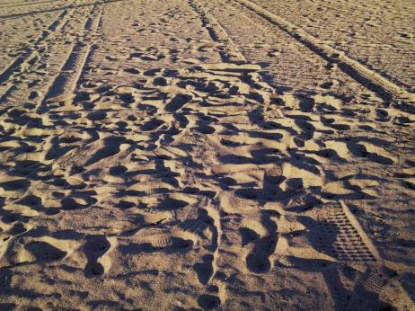Hollywood Beach