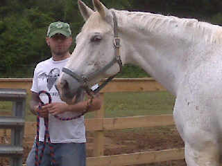 horses:a thousand pounds of barely restrained panic