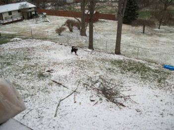 How Dare Mommy Throw My Pig