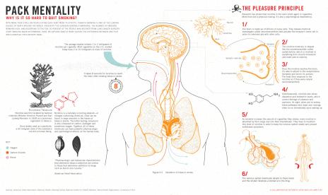 how to quit smoking1