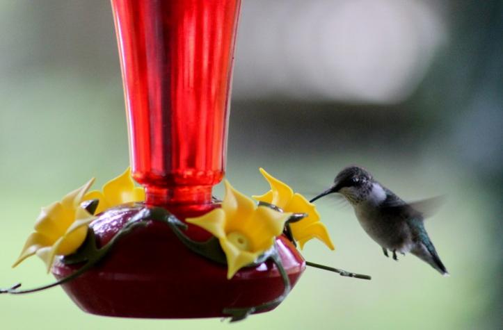 hummer2