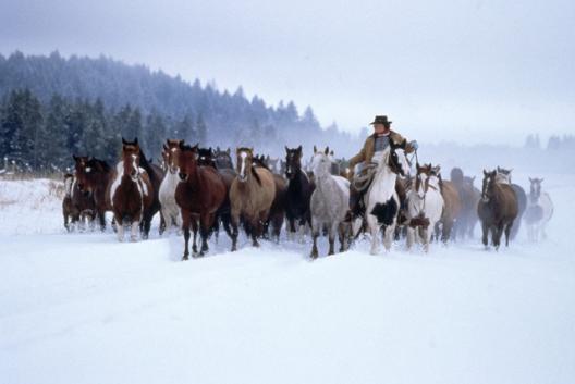 Idaho 5