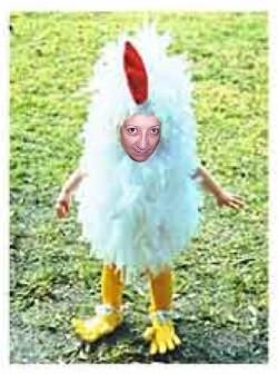 i'm a little chicken.