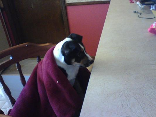 I'm ready for breakfast mommy.