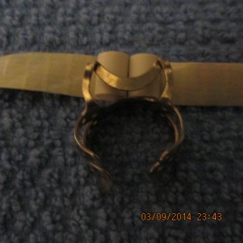 IMG 0156