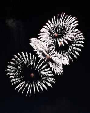 IMG 0203