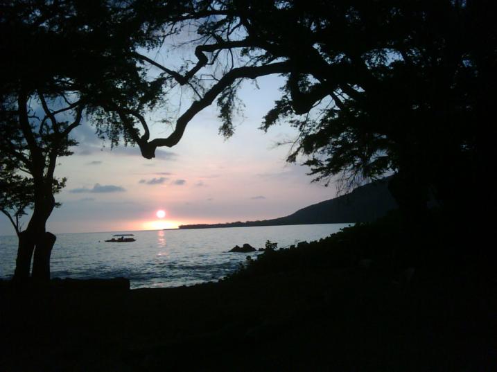 IMG00031 20090808 1846