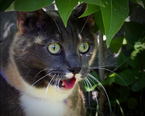 It's Hot!