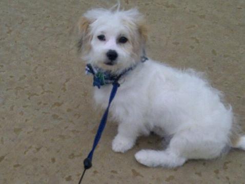 Jackson