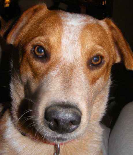 Jake