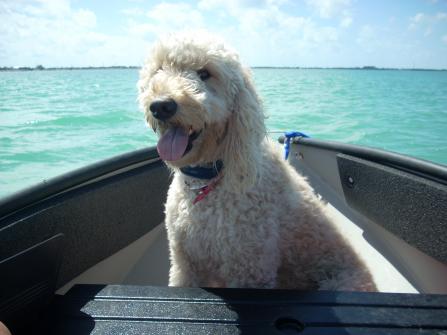 Jasmine Loves Fishin'