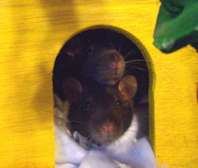 Josephine & Esther