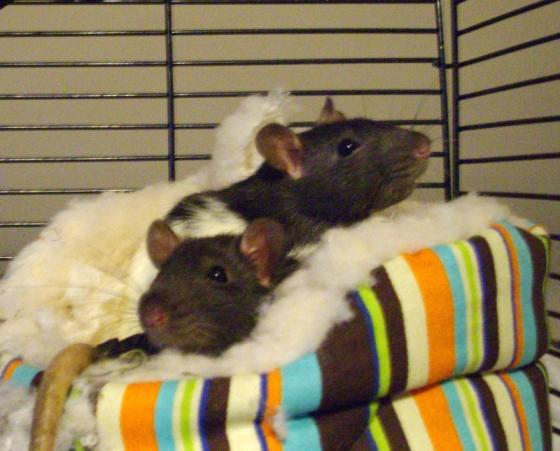 Josephine & Esther