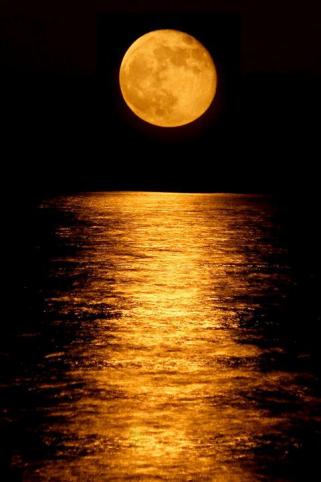 just a beautiful moon shot