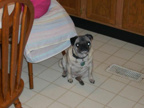 Kemo in his younger years