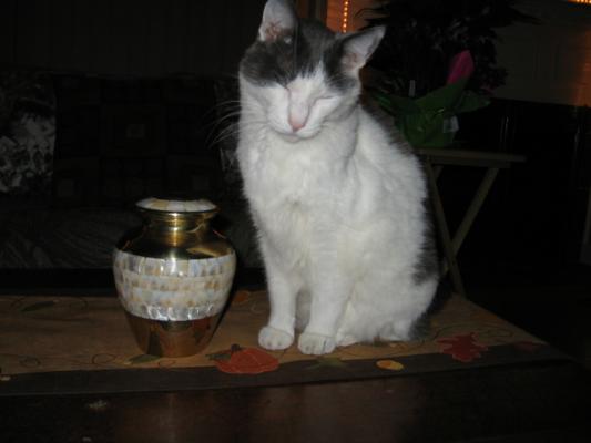 Kiki in mourning