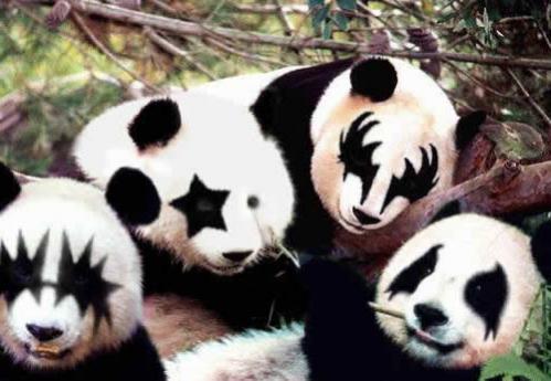 KISSPandas