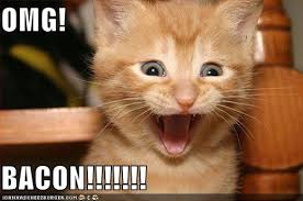 kitty bacon
