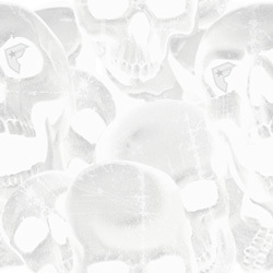 kryptonite bg 04d