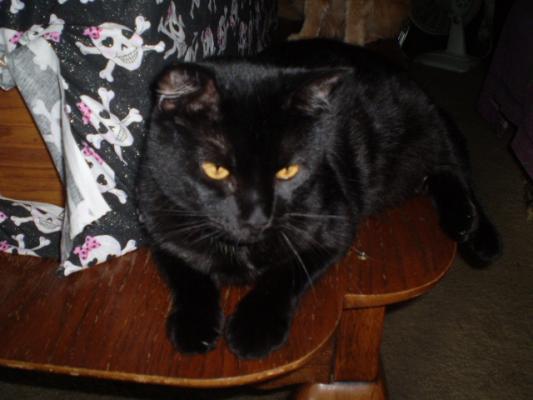 LadyLisa(Dakota)RIP Momma will miss you always.