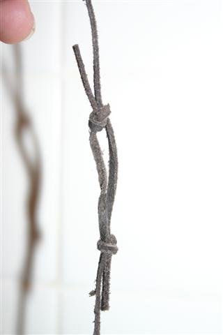 lanyard 003