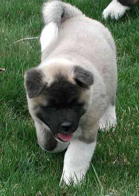 Lil "Vandyl" =)