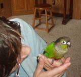 little green cheek.