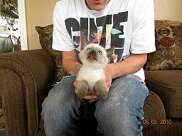 Lola