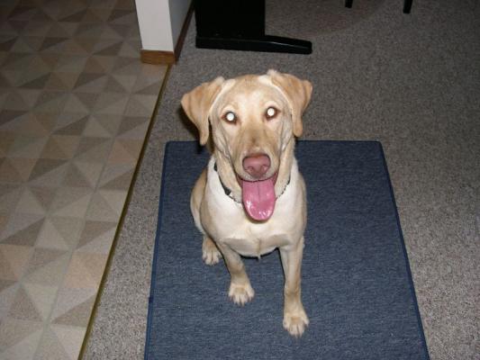 Lucy