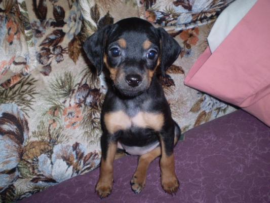 Madison Belle (Madi) the newest member of the family.