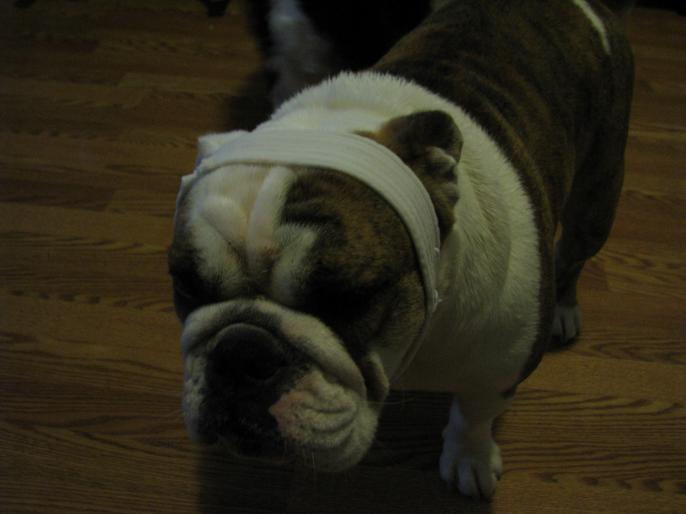 Matty not happy with her headband.