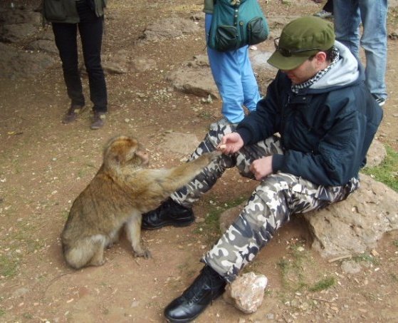 Me and Monkey in Africa