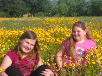 Meadow time
