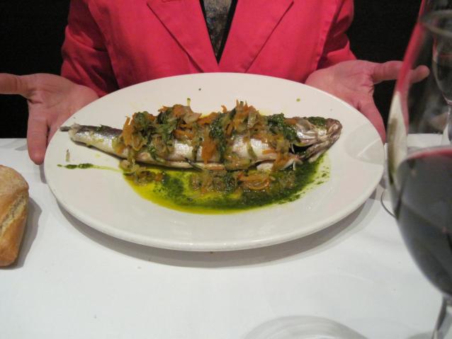 Med sea bass
