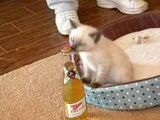 Miller Time