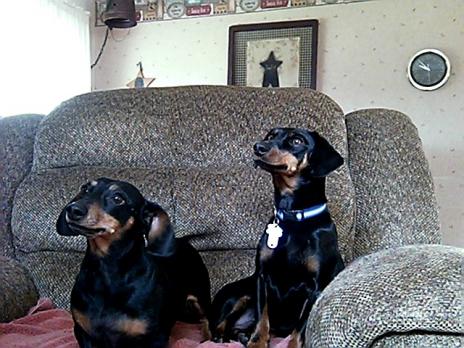 Miss Dinky and Max