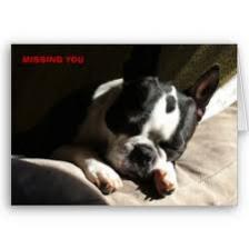 Miss you
