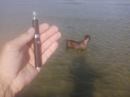 Molly Vape