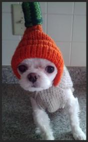 MOM, how could you do this to me??