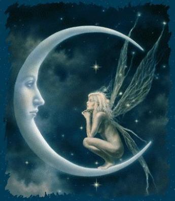 moon fairy
